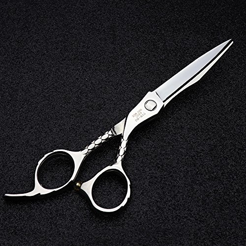 Japón 440 C peluquería Studio estilo profesional juego de herramientas para Fashion 6.0 pulgadas corte de pelo tijeras + tijeras de entresacar