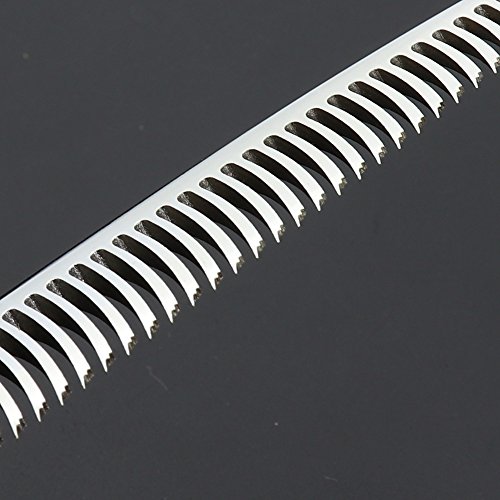 Japón 440 C Studio herramientas de modelado de peluquería profesional 6.0 pulgadas corte de pelo tijeras + tijeras de entresacar