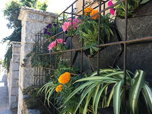 Jardín vertical. Saco Orgánico Mh (30x30x15cm) + Manual para Huerto Urbano