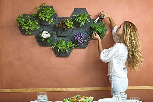 Jardín vertical. Saco Orgánico Mh (30x30x15cm) + Manual para Huerto Urbano