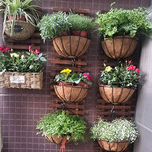 Jardinera de pared - Jardinera colgante para plantas de interior, soporte para plantas, colgador de suculentas para plantas de aire, jardín vertical. Decoración de pared grande para sala de estar, dec
