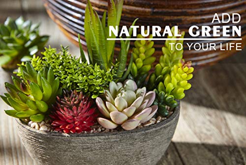 Jobary 5pcs Plantas Suculentas Artificiales Falso Plantas Decorativas Suculentas，Ideal para el Hogar, Oficina y Decoración al Aire Libre Falso Plantas