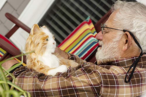 JOY FOR ALL Ageless Innovation Companion Pets - Gato atigrado de Color Anaranjado - Realista