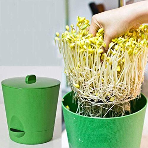 JTKDL Germinador de semillas - Ideal for brotar el crecimiento de interior for una merienda saludable o adición a cualquier comida del brote de la máquina de plástico PP Maifan piedra brotes de haba t