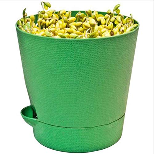 JTKDL Germinador de semillas - Ideal for brotar el crecimiento de interior for una merienda saludable o adición a cualquier comida del brote de la máquina de plástico PP Maifan piedra brotes de haba t