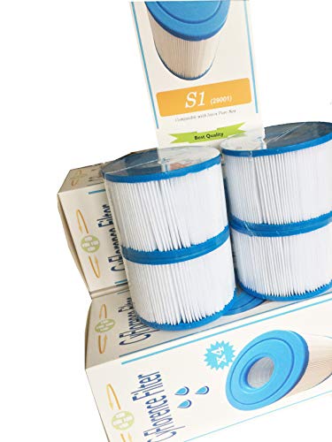 Juego de 4 filtros de SPA hinchables Intex tipo S1, 4 cartuchos de filtrado para SPA, protección antibacterias, 7,3cm de altura, diámetro: 10,8cm, diámetro del orificio: 4,2cm