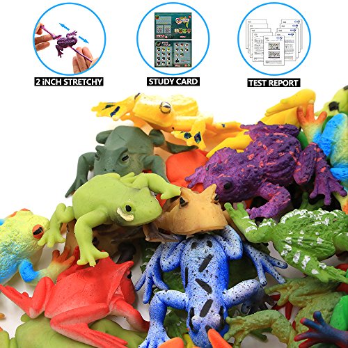Juguetes de rana, Conjunto de Mini Rana de Goma de 12 paquetes, material grado alimenticio – TPR de super elasticidad, con Bolsa de Regalo y Tarjeta de Aprendizaje