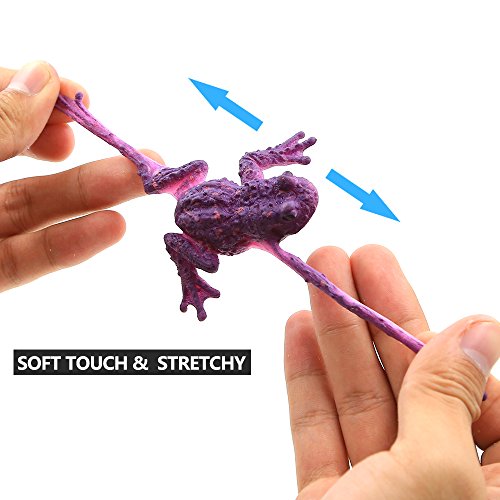 Juguetes de rana, Conjunto de Mini Rana de Goma de 12 paquetes, material grado alimenticio – TPR de super elasticidad, con Bolsa de Regalo y Tarjeta de Aprendizaje