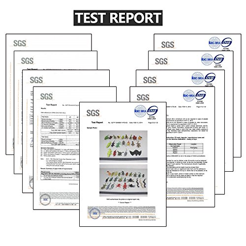 Juguetes de rana, Conjunto de Mini Rana de Goma de 12 paquetes, material grado alimenticio – TPR de super elasticidad, con Bolsa de Regalo y Tarjeta de Aprendizaje
