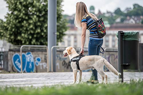 Julius-K9 16IDC - Power Harness