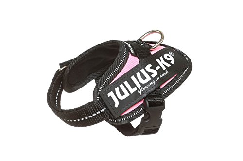 Julius-K9 16IDC - Power Harness