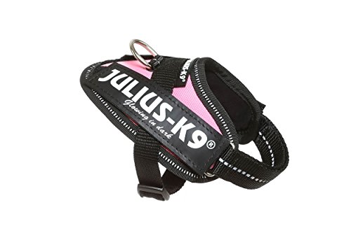 Julius-K9 16IDC - Power Harness
