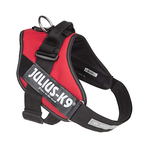 JULIUS-K9 Arnés Julius-K9 IDC, 2/L–XL, 71–96 cm/50 mm, Rojo, Perro