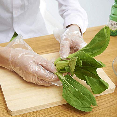 JUNSHUO 500 X Guantes de plástico guantes desechables de polietileno de calidad alimentaria，para comida, manualidades, limpieza de pelo, tintes y mucho más, transparente, X-Large