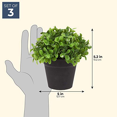 Juvale Planta Artificial decoración (Juego de 3) - casa de Las Plantas Artificiales de Interior decoración - 5 x 5,2 x 5 Pulgadas