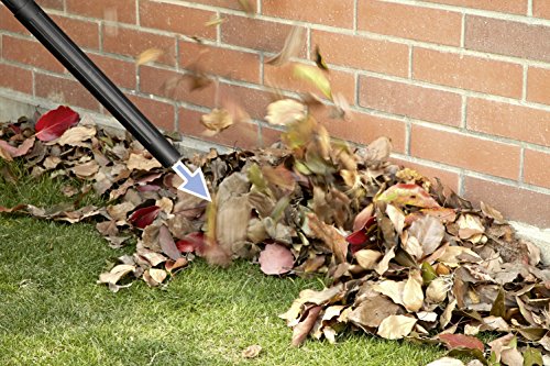 Kärcher MV 3 Aspirador Sin Bolsa Multiuso, Boquilla para Aspiración Seco Y Húmedo, 220-240 V, 1000 W, 17 litros, 73 Decibelios, Corriente sin control de encendido, Plástico, Negro-Amarillo, Antiguo