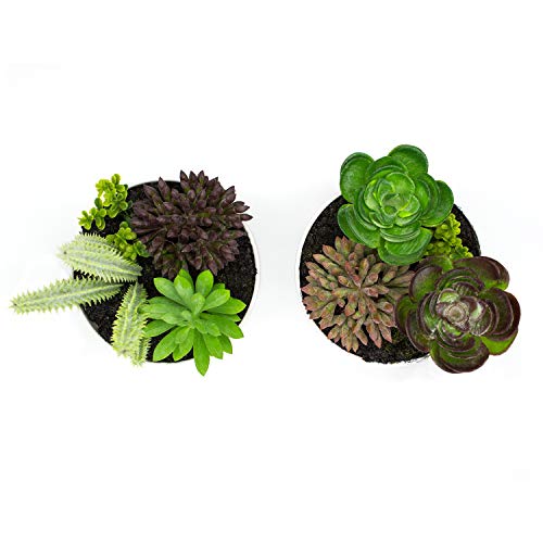 KELZIA Plantas Artificiales - 2 Macetas con Decoraciones de Plantas Falsas - Escritorio de Oficina Mesa Ventanas Repisas Chimenea Estanteria - Regalo de Decoración para Ocasiones Especiales (Cilindro)