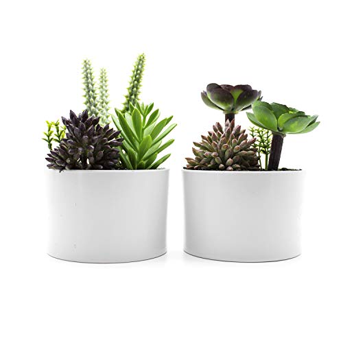 KELZIA Plantas Artificiales - 2 Macetas con Decoraciones de Plantas Falsas - Escritorio de Oficina Mesa Ventanas Repisas Chimenea Estanteria - Regalo de Decoración para Ocasiones Especiales (Cilindro)