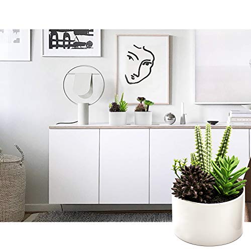 KELZIA Plantas Artificiales - 2 Macetas con Decoraciones de Plantas Falsas - Escritorio de Oficina Mesa Ventanas Repisas Chimenea Estanteria - Regalo de Decoración para Ocasiones Especiales (Cilindro)