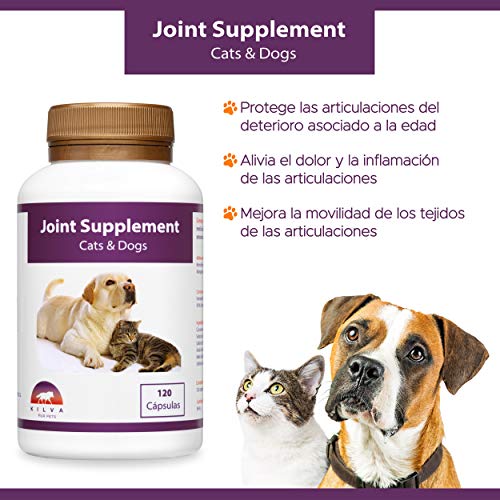 Kilva Suplemento antiinflamatorio Natural para Perros y Gatos, 120 cáp. Condroprotector. Condroitina, Glucosamina, Ácido hialurónico, Cúrcuma, MSM, Manganeso