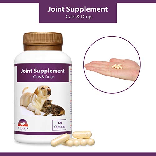 Kilva Suplemento antiinflamatorio Natural para Perros y Gatos, 120 cáp. Condroprotector. Condroitina, Glucosamina, Ácido hialurónico, Cúrcuma, MSM, Manganeso