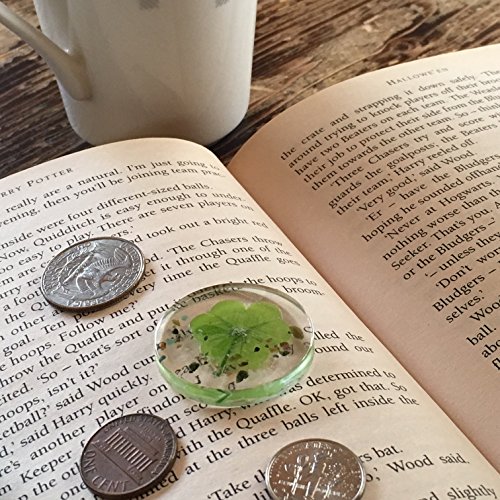 KIN-HEBI Trébol de Cuatro Hojas Real, símbolo de Bolsillo de Buena Suerte, conservado, 3.2 cm (Incluyendo Mix Tourmaline)