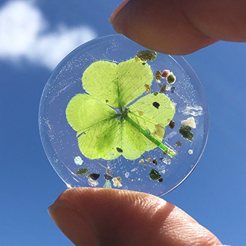 KIN-HEBI Trébol de Cuatro Hojas Real, símbolo de Bolsillo de Buena Suerte, conservado, 3.2 cm (Incluyendo Mix Tourmaline)