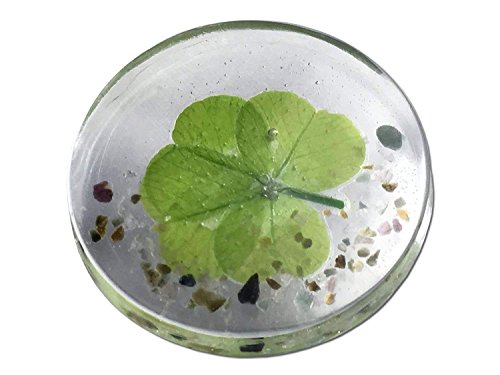 KIN-HEBI Trébol de Cuatro Hojas Real, símbolo de Bolsillo de Buena Suerte, conservado, 3.2 cm (Incluyendo Mix Tourmaline)