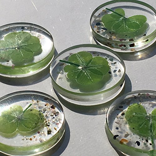 KIN-HEBI Trébol de Cuatro Hojas Real, símbolo de Bolsillo de Buena Suerte, conservado, 3.2 cm (Incluyendo Mix Tourmaline)