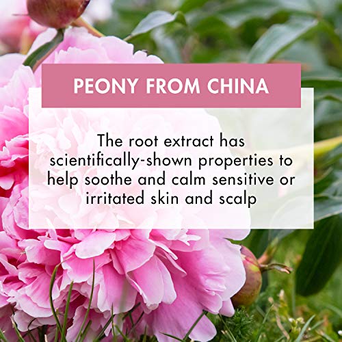 Klorane Peony Gel After Shampoo Calming And Anti-irritant 50ml