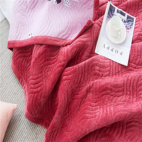 KNNSYZ Manta Acolchada Lisa Acolchada Manta de Terciopelo de Cristal Manta de Cama Multifuncional Manta de Cuatro Estaciones