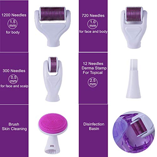 Koi Beauty Dermaroller, Derma Roller Titanio, 0.5/1.0/1.5/2.0mm Microneedle Derma Roller, Rodillo Derma Sistema de microagujas 6 en 1 por para arrugas, puntos oscuros, cicatrices, celulitis, estrías