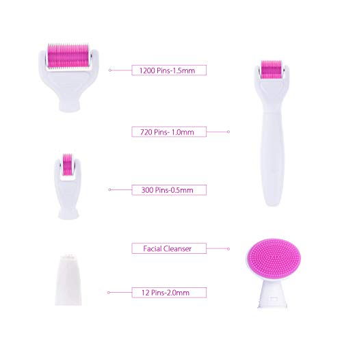 KoiBeauty Dermaroller Kit 6 en 1 Dermaroller 0.5mm 1mm 1.5mm 2mm Rodillo de microagujas Rodillo de microagujas Derma roller 1200, 720, 300 para el cuidado de la piel del cuerpo