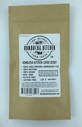 Kombucha Kitchen Genuine KOMBUCHA CULTURE (HUGE SCOBY with Strong STARTER TEA - Makes 1 Gallon) by Scoby Kombucha