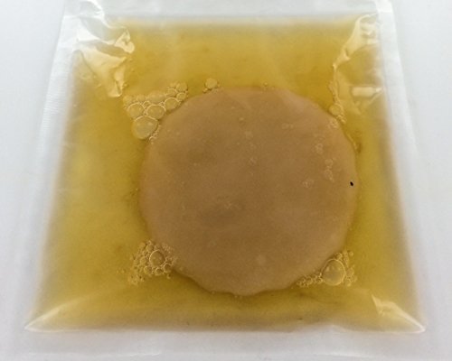 Kombucha Kitchen Genuine KOMBUCHA CULTURE (HUGE SCOBY with Strong STARTER TEA - Makes 1 Gallon) by Scoby Kombucha