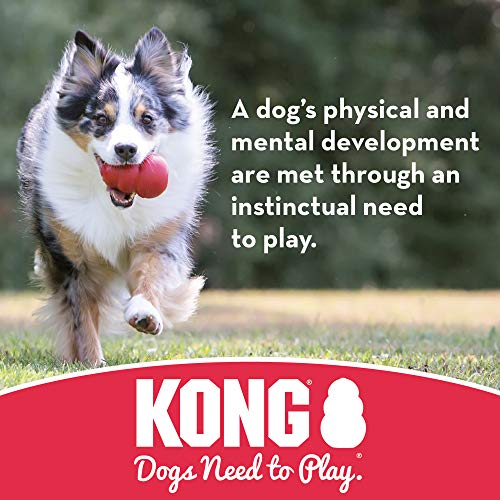 KONG - Flyer - Frisbee de Caucho Resistente - para Perros Grandes