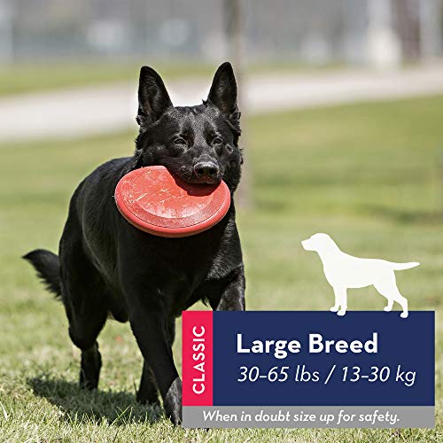 KONG - Flyer - Frisbee de Caucho Resistente - para Perros Grandes