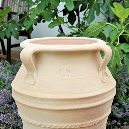 Kreta en Céramique Fait à la Main Terracotta Amphore avec Anse, Totalement Résistant au Gel, Superbe Pot pour intérieur et de Jardin et Terrasse, Datura 50 cm