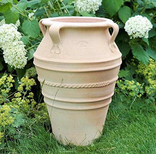 Kreta en Céramique Fait à la Main Terracotta Amphore avec Anse, Totalement Résistant au Gel, Superbe Pot pour intérieur et de Jardin et Terrasse, Datura 50 cm