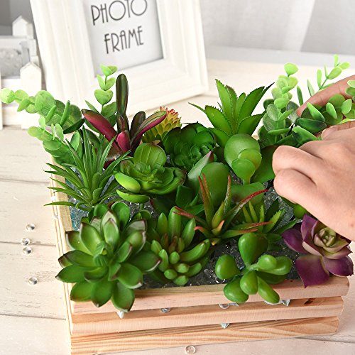 KUUQA 16 piezas de plantas artificiales carnosas mixtas, tallos de decoración sin maceta, plantas carnosas de imitación, surtidas, para decoración del hogar, decoración de pared, jardín, bricolaje