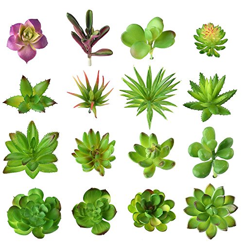 KUUQA 16 piezas de plantas artificiales carnosas mixtas, tallos de decoración sin maceta, plantas carnosas de imitación, surtidas, para decoración del hogar, decoración de pared, jardín, bricolaje