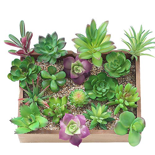 KUUQA 16 piezas de plantas artificiales carnosas mixtas, tallos de decoración sin maceta, plantas carnosas de imitación, surtidas, para decoración del hogar, decoración de pared, jardín, bricolaje