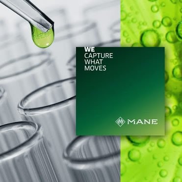 L & J Ambientador de Coche, Aceite Original de Perfume francés Fabricado por Mane®, Fragancia de Coche, Enchufe de Fragancia para Parrilla de ventilación de vehículo, 5 ml, C-103 (Fragancia Ligera)