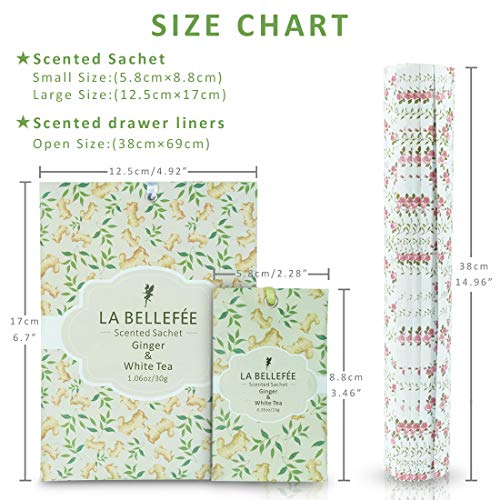 LA BELLEFÉE 17 Bolsitas Perfumadas Sobres Aromáticos para Cajones Armarios Habitación Baños Coches (Paquete de 12 Bolsitas Perfumadas + Paquete de 5 Papeles Perfumados)