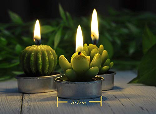 LA BELLEFÉE - 6 Velas Suculentas Plantas Cactus Decorativas para Casa Regalos para Halloween Navidad Cumpleaños Fiestas Boda Adorables Regalos para los Amantes de Suculentas