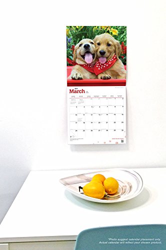 La Virgen de Guadalupe 2019 Square Spanish English Foil