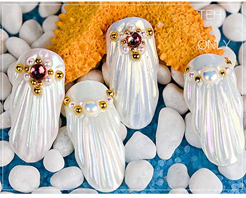 LABOTA 9 cajas Shell Polvo de Perlas Espejo efecto Cromo Uñas de Sirena, 1 g en polvo brillo y decoración de uñas con 9pcs Palillo de la esponja