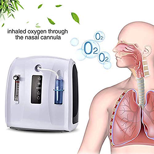LALEO 6L Médico Electrónico Portátil Concentrador De Oxígeno Generador De Oxígeno Hogar