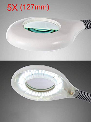 Lámpara de Aumento LED 5X, luz de Lupa de Brazo Giratorio Ajustable para Cuidado de la Piel, Belleza, Maquillaje cosmético, manicura, Tatuaje, salón, SPA, Blanco A/A