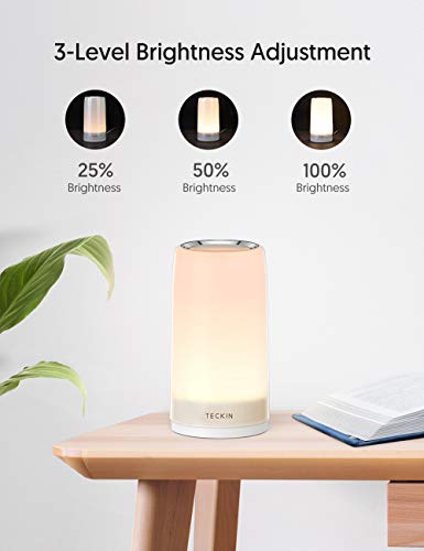 Lampara Mesilla de Noche,Luz Nocturna LED,Lámpara de Mesa,Control Tactil,Regulable,TECKIN Lámpara de Tabla de Decoración con Modo RGB y Luz Blanca Caliente,256 Luces de Color